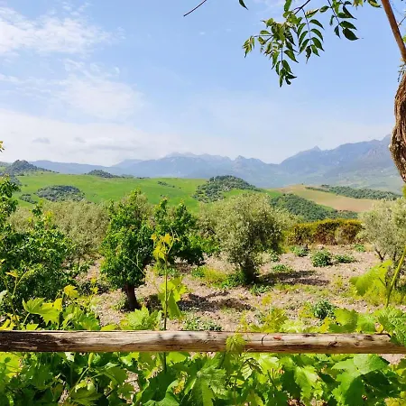 Huerta Nacimiento Montecorto